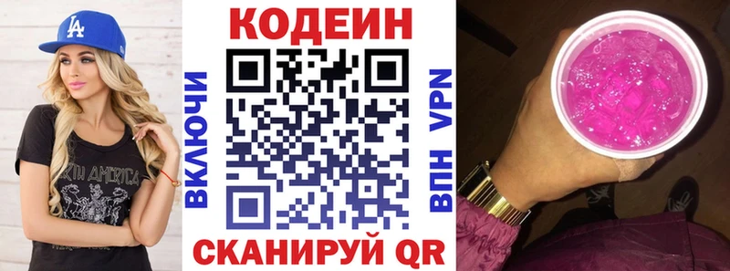 Купить закладки  Петровск-Забайкальский  Кодеиновый сироп Lean напиток Lean (лин) 