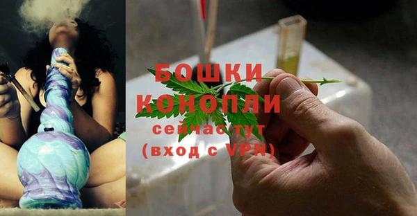 соль ск Дмитриев