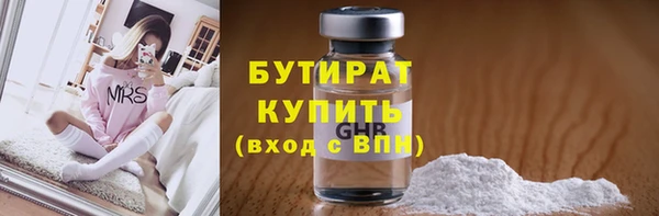 соль ск Дмитриев