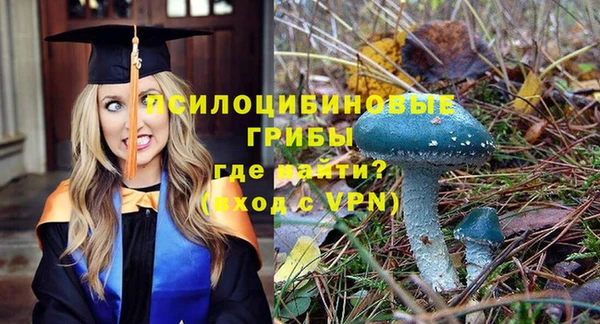 круглые Елизово