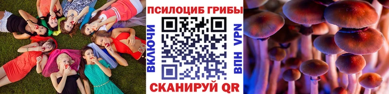 Купить где  Петровск-Забайкальский  Галлюциногенные грибы GOLDEN TEACHER 